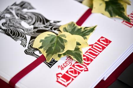 015_festival lepopisja 24